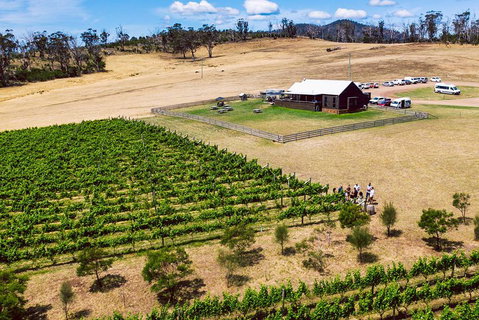 Tasmanian Wine Tour - Accommodation Cairns 3
