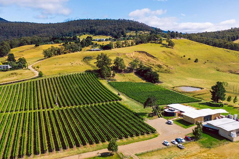 Tasmanian Wine Tour - Accommodation Cairns 4