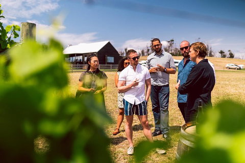Tasmanian Wine Tour - Accommodation Cairns 5