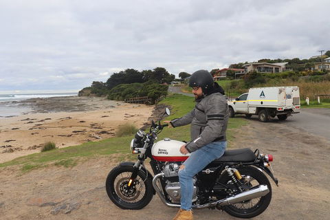Royal Enfield Interceptor 650cc - Accommodation Cairns 3