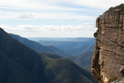Inside The Greater Blue Mountains World Heritage - A Wildlife Safari Overnight - Accommodation Cairns 4
