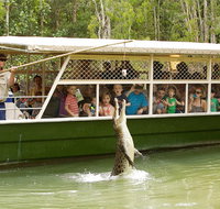 Hartley's Crocodile Adventure Half-Day Tour - Accommodation Cairns