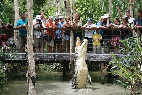 Hartley's Crocodile Adventure Half-Day Tour - Accommodation Cairns 1