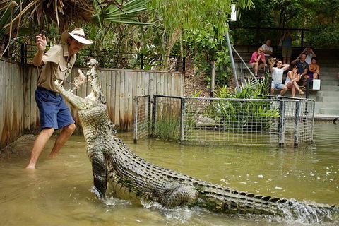 Hartley's Crocodile Adventure Half-Day Tour - Accommodation Cairns 2
