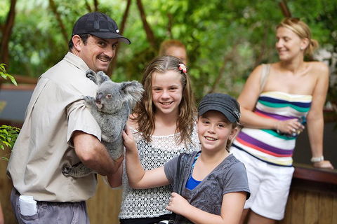 Hartley's Crocodile Adventure Half-Day Tour - Accommodation Cairns 3