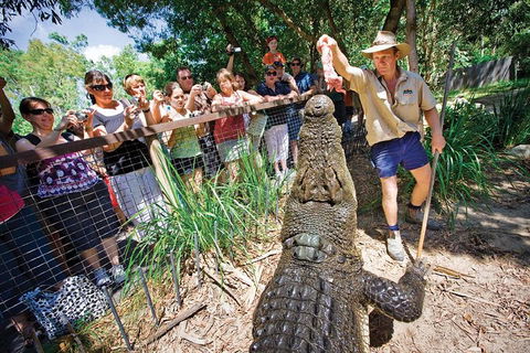 Hartley's Crocodile Adventure Half-Day Tour - Accommodation Cairns 4