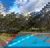 Tahune Airwalk Active Day Trip from Hobart Including Hastings Caves - Accommodation Cairns