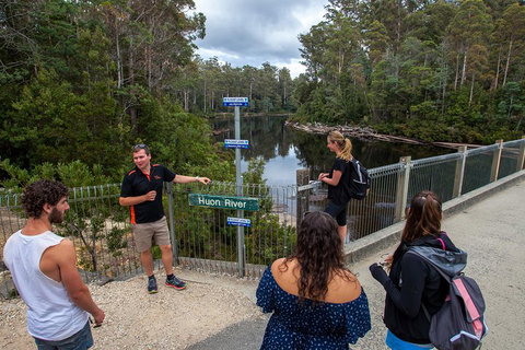 Tahune Airwalk Active Day Trip From Hobart Including Hastings Caves - Accommodation Cairns 1