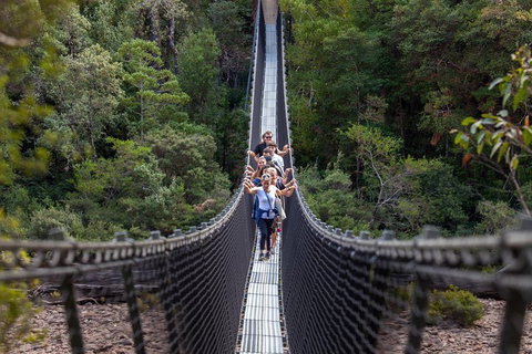 Tahune Airwalk Active Day Trip From Hobart Including Hastings Caves - Accommodation Cairns 3