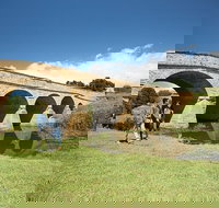 Richmond Historic Afternoon Tour from Hobart - Accommodation Cairns