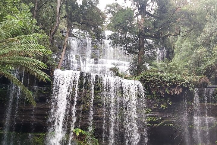Accommodation Cairns