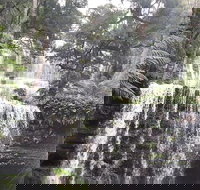 6-Day Hearty Tasmania Tour Tasmania in a Circle - Accommodation Cairns