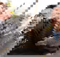 Bonorong Wildlife Park and Richmond Afternoon Tour from Hobart - Accommodation Cairns