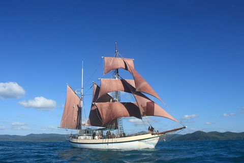 Sydney Harbour Tall Ship Whale & Sail - Whale Watching Cruise - Accommodation Cairns 1