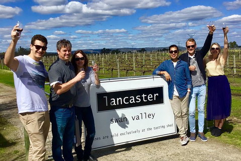 Swan Valley Tour From Perth: Wine, Beer And Chocolate Tastings - Accommodation Cairns 1