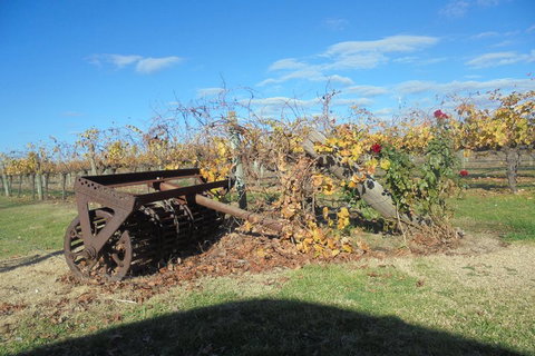 Swan Valley Tour From Perth: Wine, Beer And Chocolate Tastings - Accommodation Cairns 3