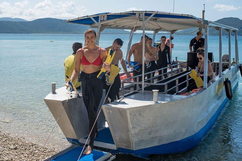 Fitzroy Island Day Trip From Cairns - Accommodation Cairns 5