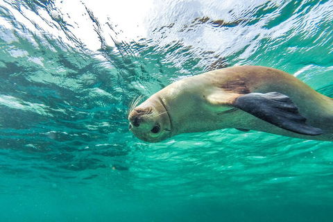 10-Day Adelaide To Perth Adventure Tour - Accommodation Cairns 1