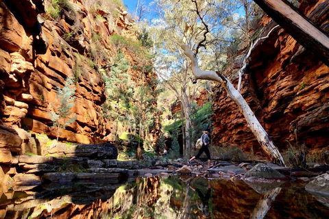 10-Day Adelaide To Perth Adventure Tour - Accommodation Cairns 5