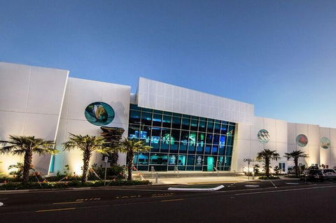 Cairns Aquarium Admission Ticket - Accommodation Cairns 4