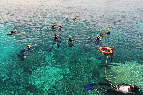 Seastar Luxury Outer Great Barrier Reef Island And Reef Tour From Cairns - Accommodation Cairns 2