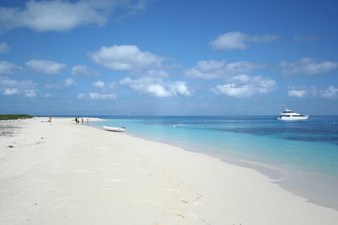 Seastar Luxury Outer Great Barrier Reef Island And Reef Tour From Cairns - Accommodation Cairns 3