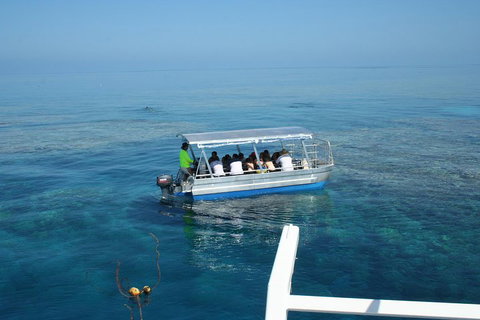 Seastar Luxury Outer Great Barrier Reef Island And Reef Tour From Cairns - Accommodation Cairns 5