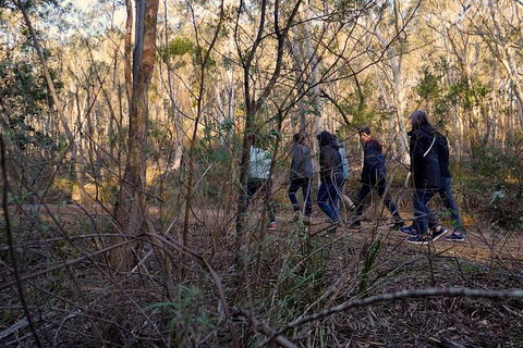 Wild Australian Wildlife 4WD Tour From Sydney - Accommodation Cairns 0