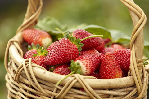 Mornington Peninsula Farm Produce Wine And Cider Tour - Accommodation Cairns 1