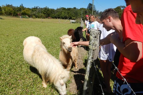 Atherton Tablelands Waterfalls Tour From Cairns - Accommodation Cairns 4