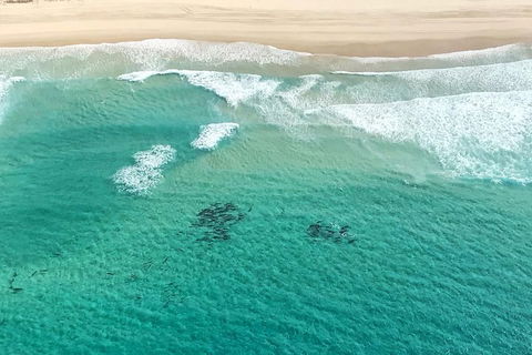 Coastal Helicopter Shared Flight - 20 Minutes - Accommodation Cairns 4