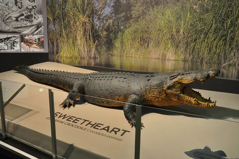 Explore Darwin City Sights Including Key Attractions - Accommodation Cairns 2