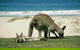 Great Ocean Road Full Coastal Tour - 3 Days, 2 Nights - thumb 1