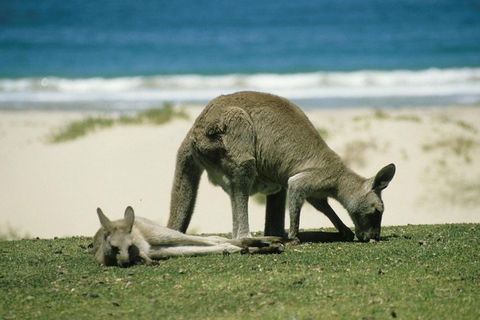 Great Ocean Road Full Coastal Tour - 3 Days, 2 Nights - Accommodation Cairns 1