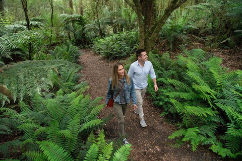 Great Ocean Road Full Coastal Tour - 3 Days, 2 Nights - Accommodation Cairns 4