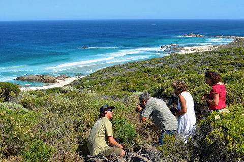 Margaret River Coastal And Wildlife Eco Trip From Busselton Or Dunsborough - Accommodation Cairns 2
