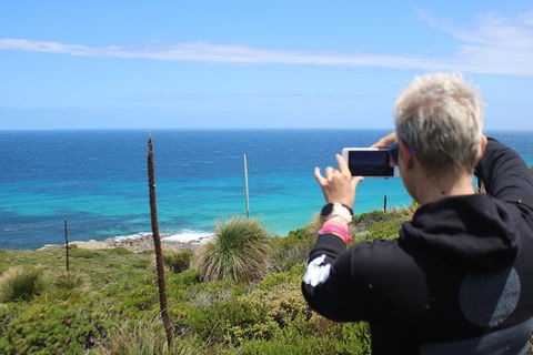 Margaret River Coastal And Wildlife Eco Trip From Busselton Or Dunsborough - Accommodation Cairns 3